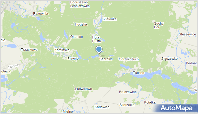mapa Czernice, Czernice gmina Murowana Goślina na mapie Targeo